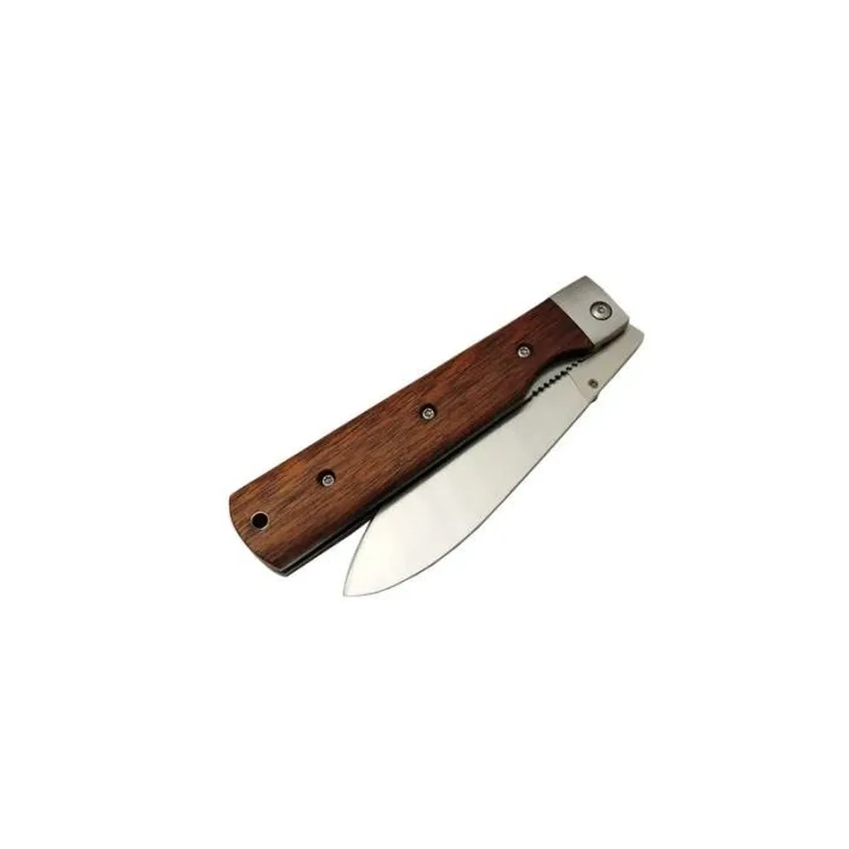 Knives Japon Şef Çakısı 25 Cm, Yarı Otomatik görsel 2