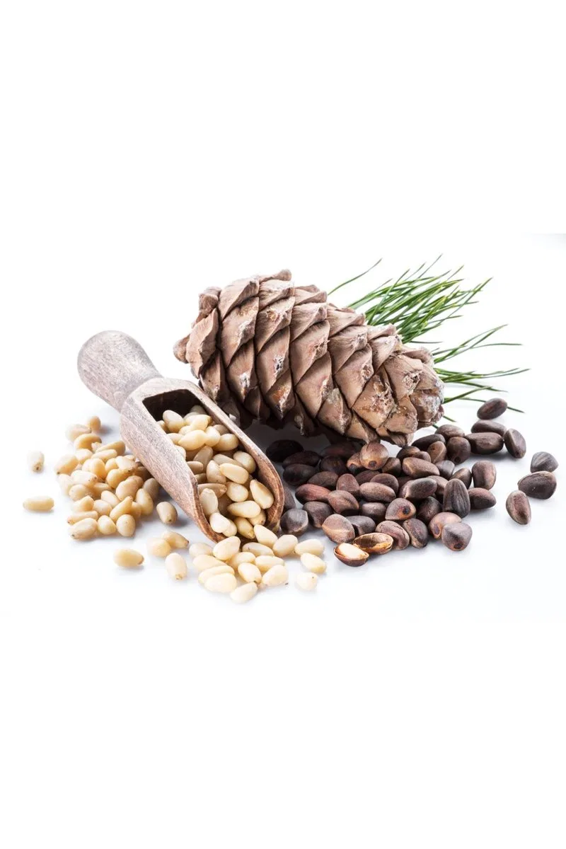 Çam Fıstığı Deluxe Seri Organik Lezzetli 50 Gr görsel 2