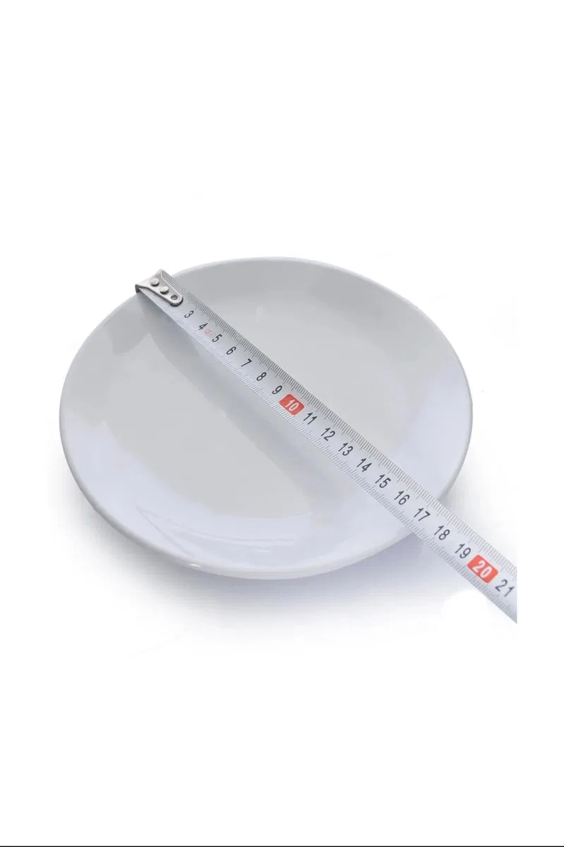 Termostar Melamin Enternasyonel Tabak 17 cm Royaleks-ENT17 görsel 3