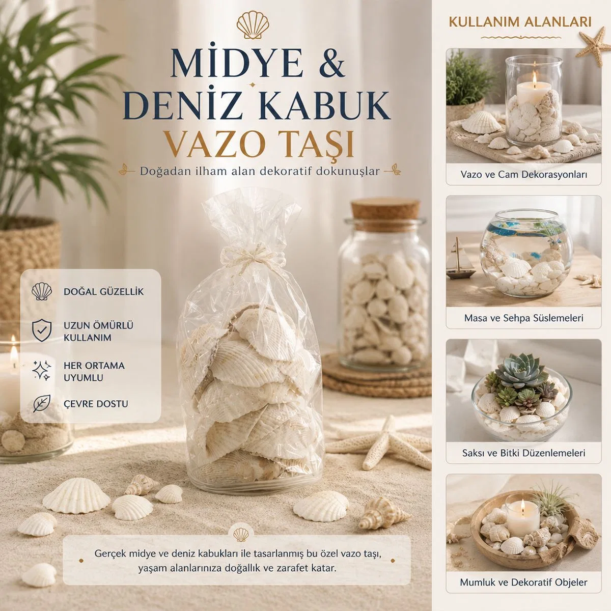 Midye ve Deniz Kabuk Vazo Taşları görsel 3