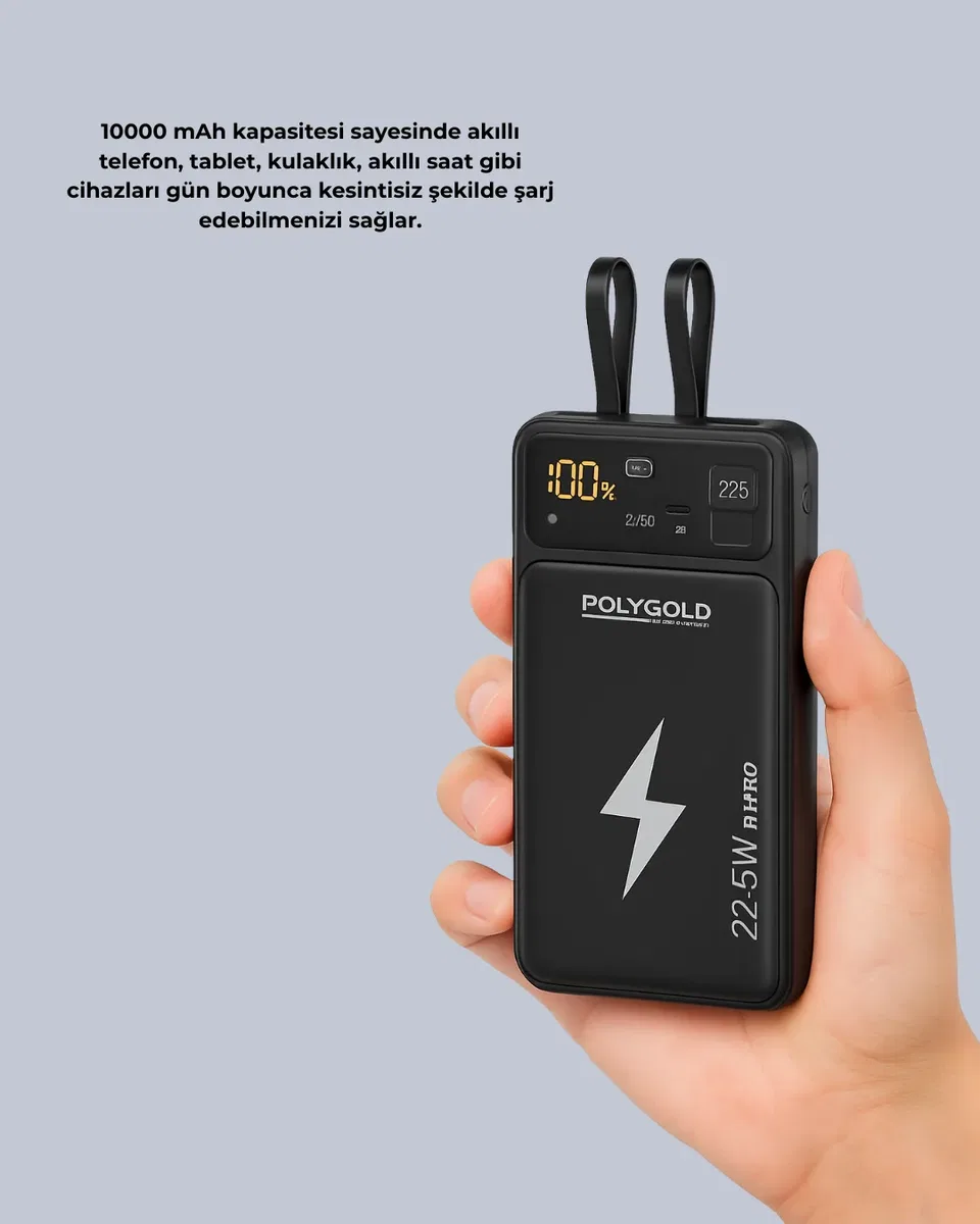 PGPW10 POWERBANK görsel 3