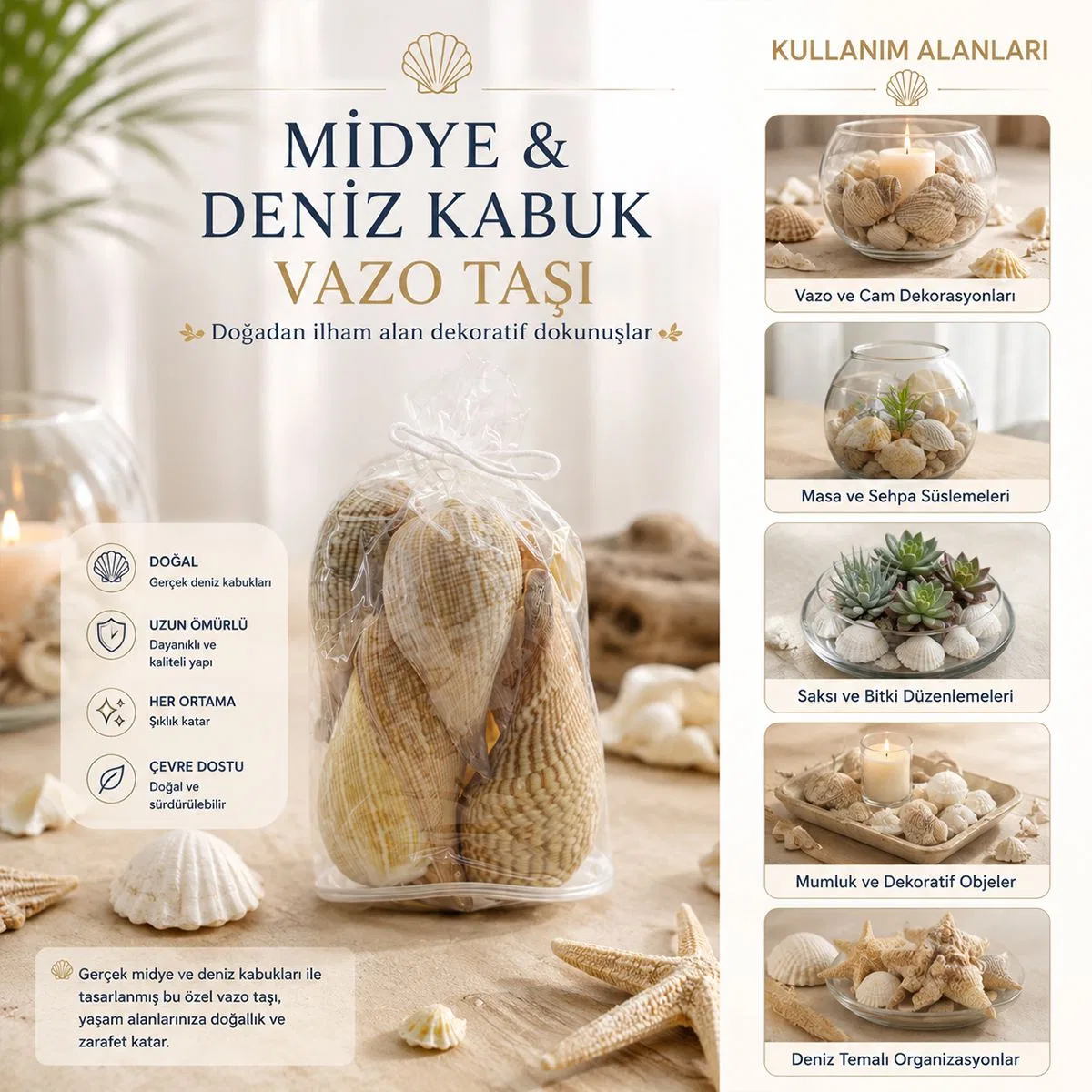 Midye ve Deniz Kabuk Vazo Taşları görsel 4
