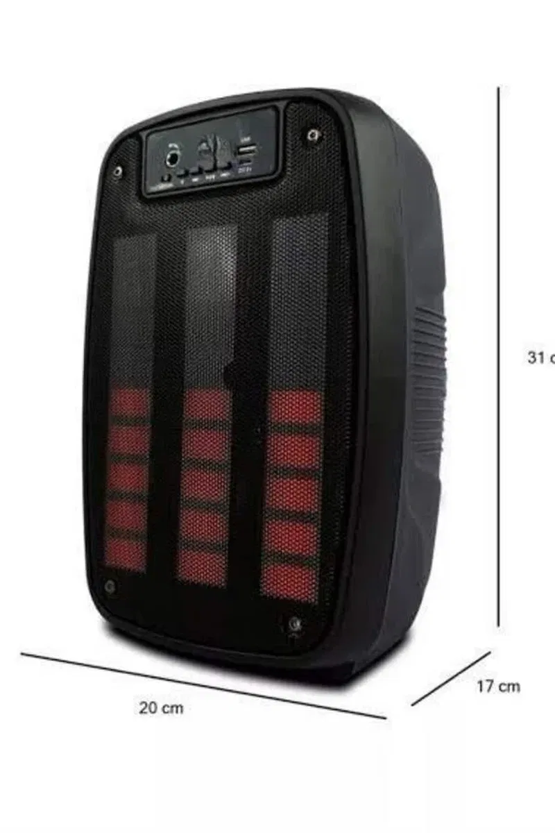 Taşınabilir 6. 5 inç LED Bluetooth Kareoke Hoparlör RGB Işıklı Radyolu görsel 5