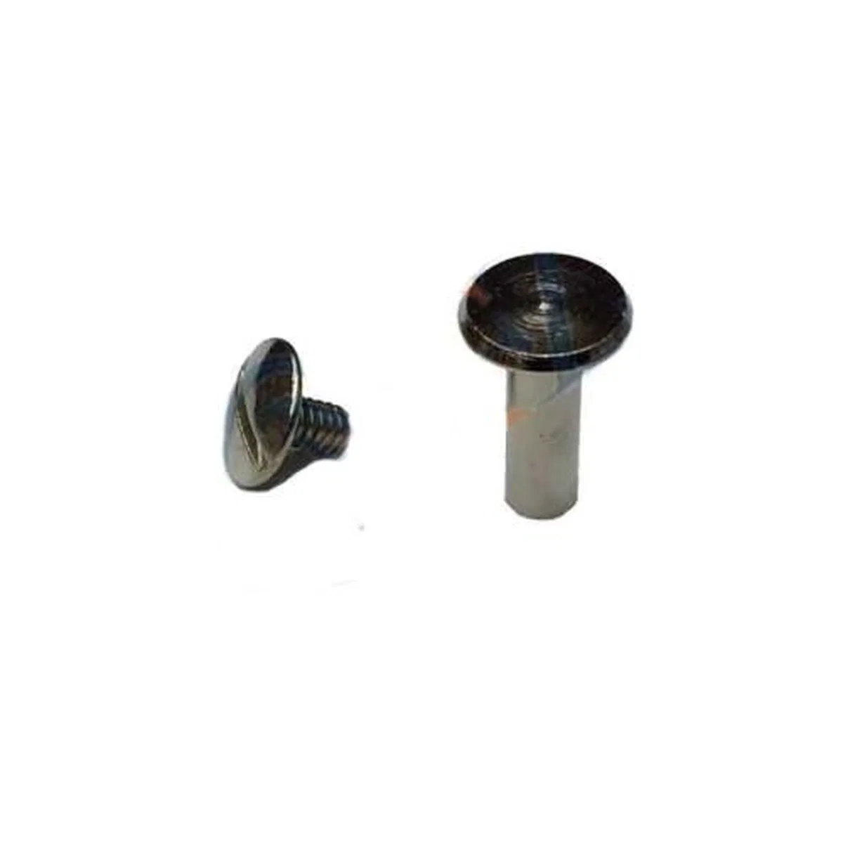 Cilt Menü, Katalog, Kartela Vidası, 6 Mm - Nikel, 1 Adet görsel 2