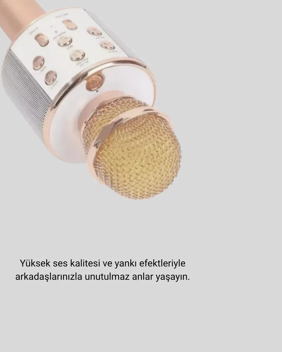 Karaoke Mikrofonu Bluetooth USB AUX Girişli Yankı Efektli görsel 2