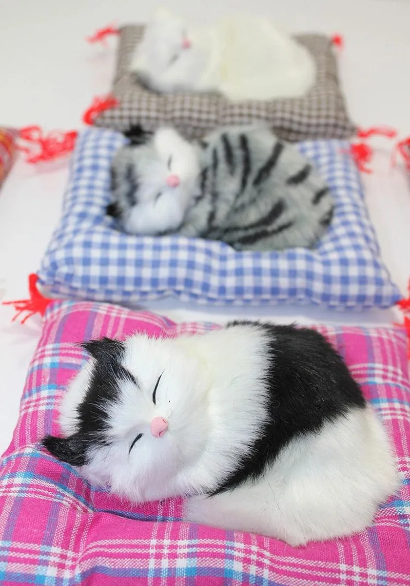 Yastıkta Uyuyan Kedi Sesli Alk24 görsel 2