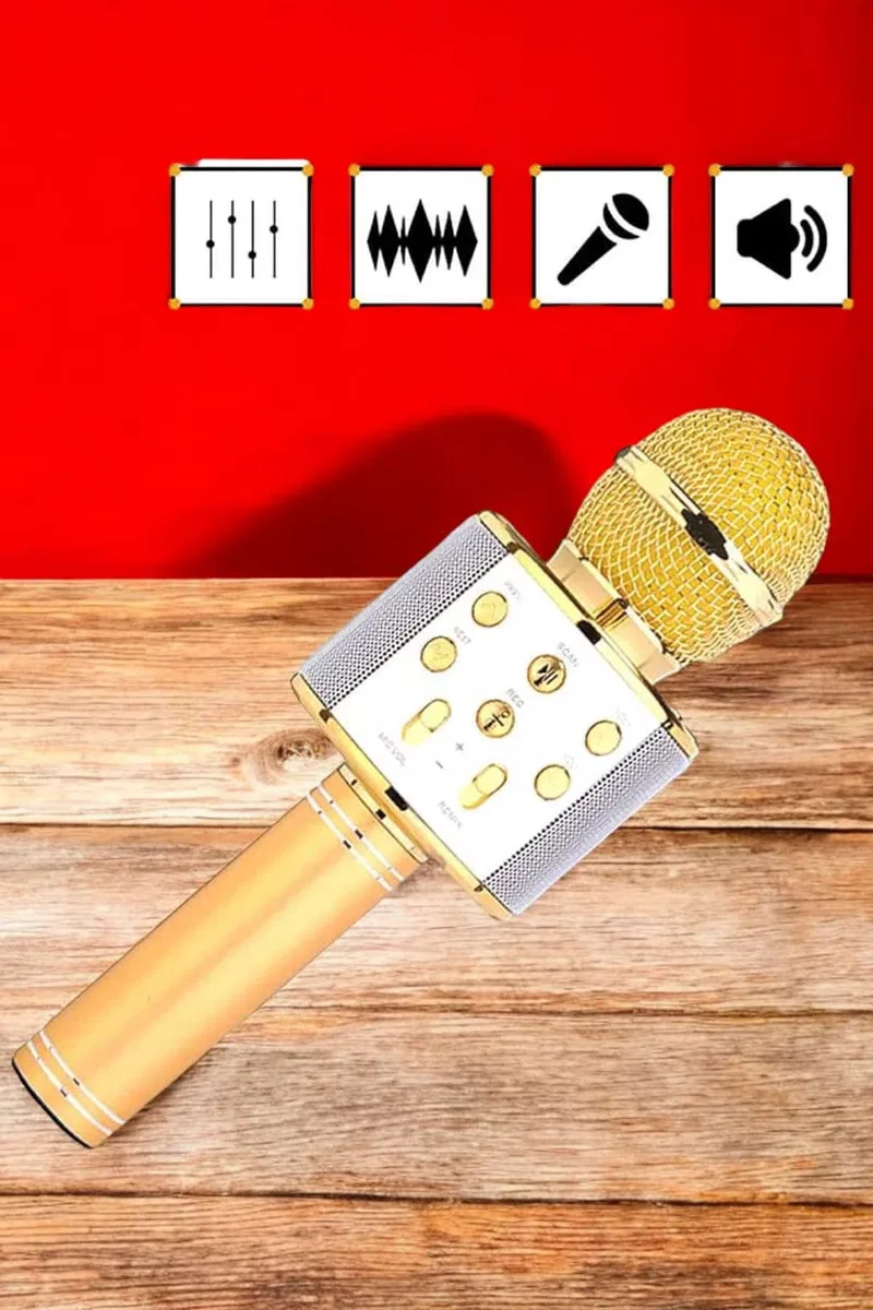 Şarjlı ve Uzun Pil Ömürlü Karaoke Mikrofon USB Bellek Destekli, Profesyonel Ses görsel 4