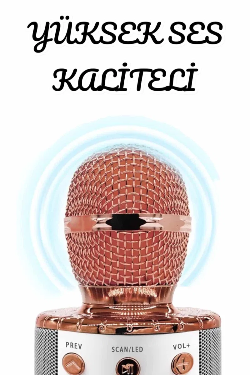 Şarjlı ve Uzun Pil Ömürlü Karaoke Mikrofon USB Bellek Destekli, Profesyonel Ses görsel 3
