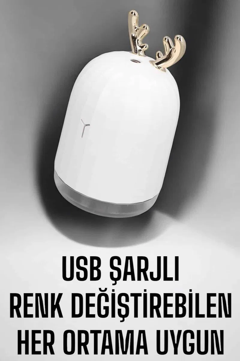 Aromaterapi Hava Temizleyici Buhar Makinesi Taşınabilir Şarjlı görsel 2