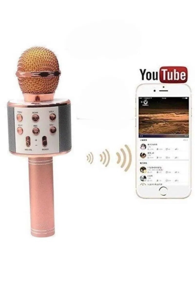 Bluetooth Hoparlör USB AUX SD Kart Kaoroke Mikrofon Uzun Pil Ömrü görsel 4