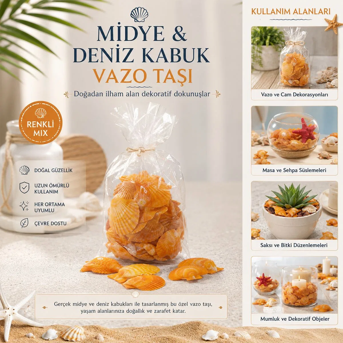 Midye ve Deniz Kabuk Vazo Taşları görsel 2