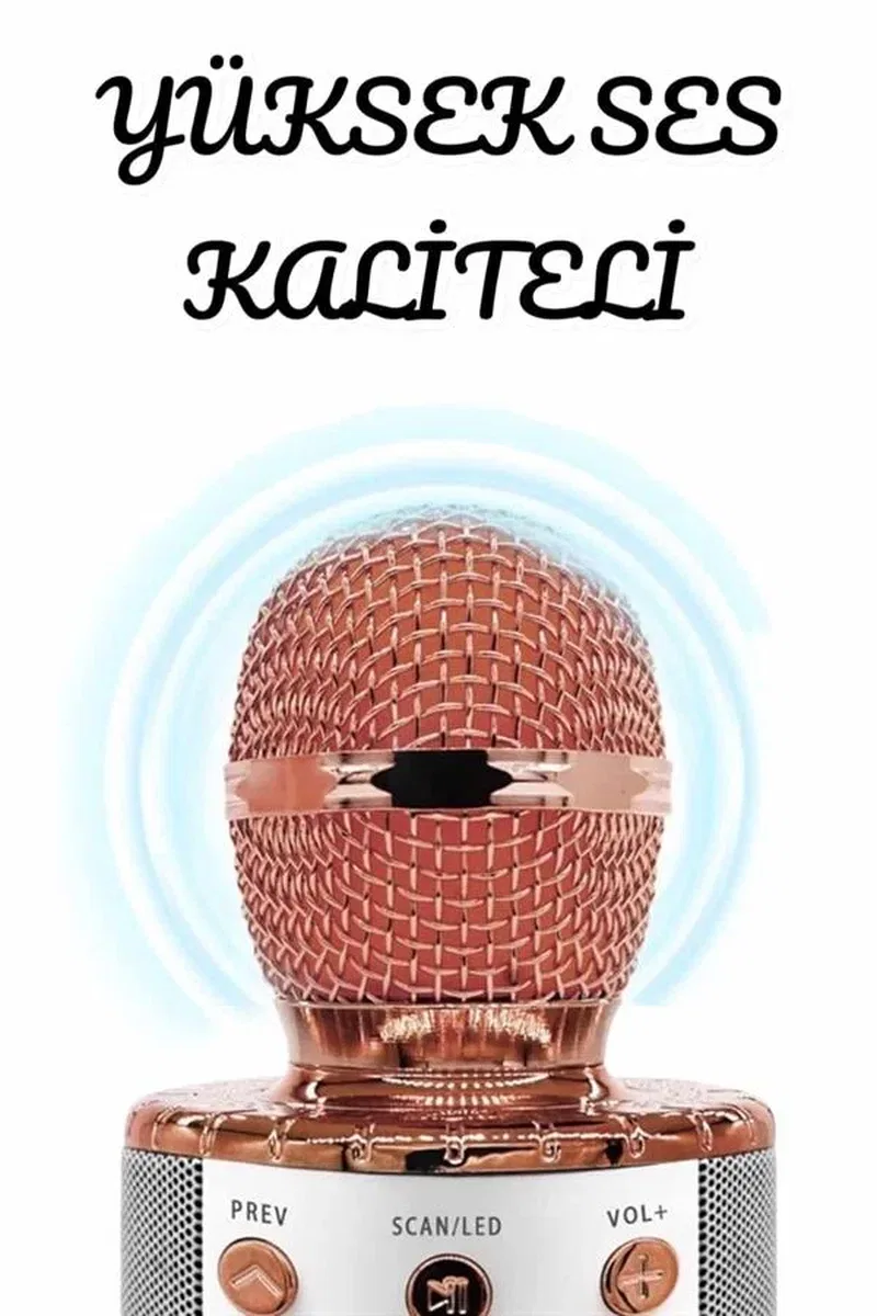 Şarjlı ve Uzun Pil Ömürlü Karaoke Mikrofon USB Bellek Destekli, Profesyonel Ses görsel 3
