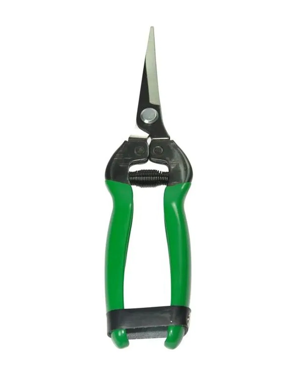 429e5 - Düz Bıçak Narenciyemakası 184 Mm