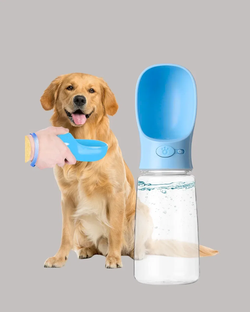 KÖPEK SULUĞU görsel 4