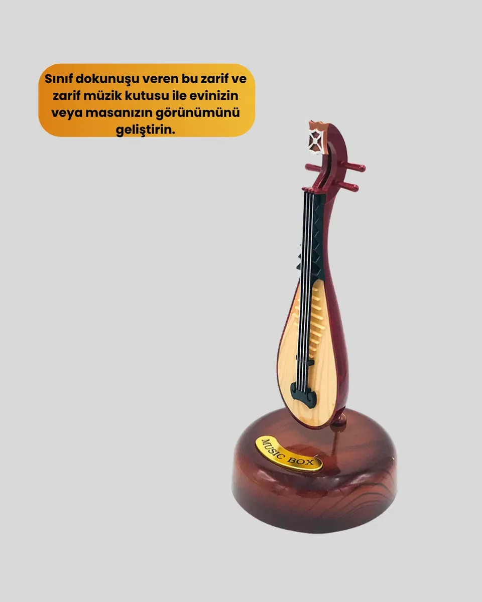 PİPA MÜZİK KUTUSU görsel 3