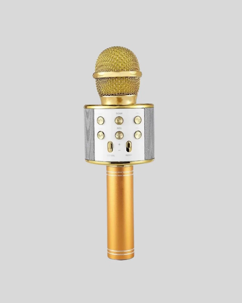 Karaoke Mikrofonu Bluetooth USB AUX Girişli Yankı Efektli görsel 5