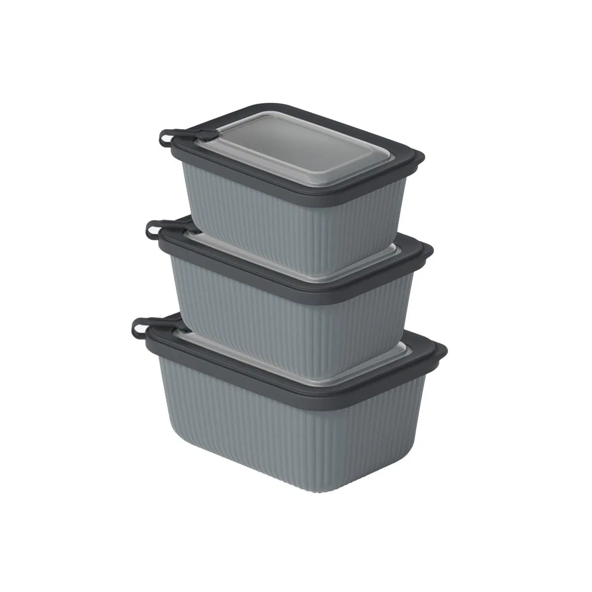 Plastik Saklama Kabı Seti - Mikrodalga Uyumlu Dikdörtgen (600/1100/1800 ml) görsel 2