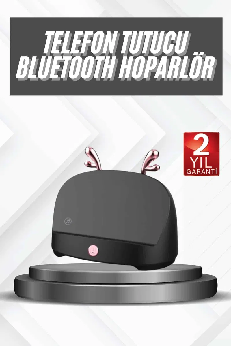 Kablosuz Bluetooth Hoparlör Telefon Koyma Özelliği Yüksek Ses Kaliteli görsel 2