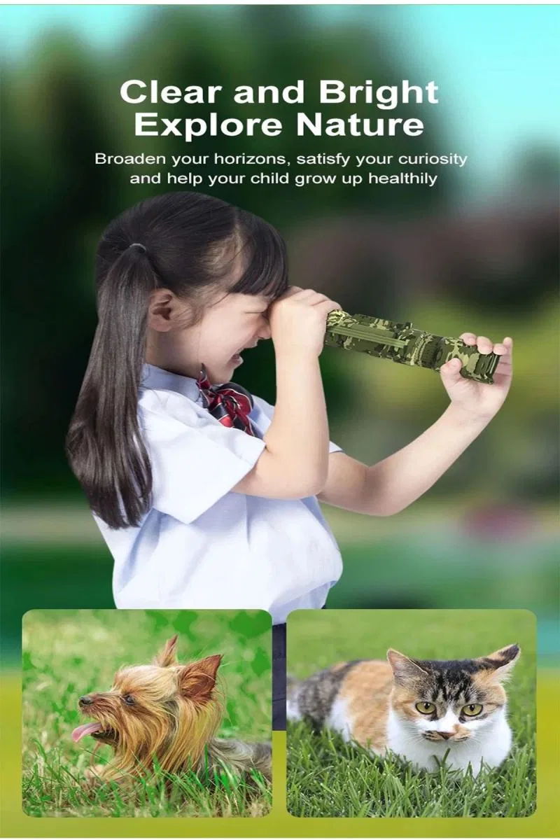 Digital Dürbün 8, 0 Megapixel, 2. 0 Lcd Hd Uzun Menzilli Taşınabilir 1080px720p Tripodlu Dürbün görsel 8