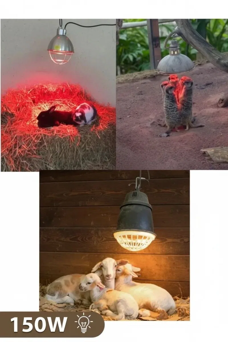 150w Kızılötesi (infrared) Isıtıcılı Hayvan Isıtma Ve Kuluçka Lambası (kırmızı Işık) E27 (kalın Duy) görsel 4