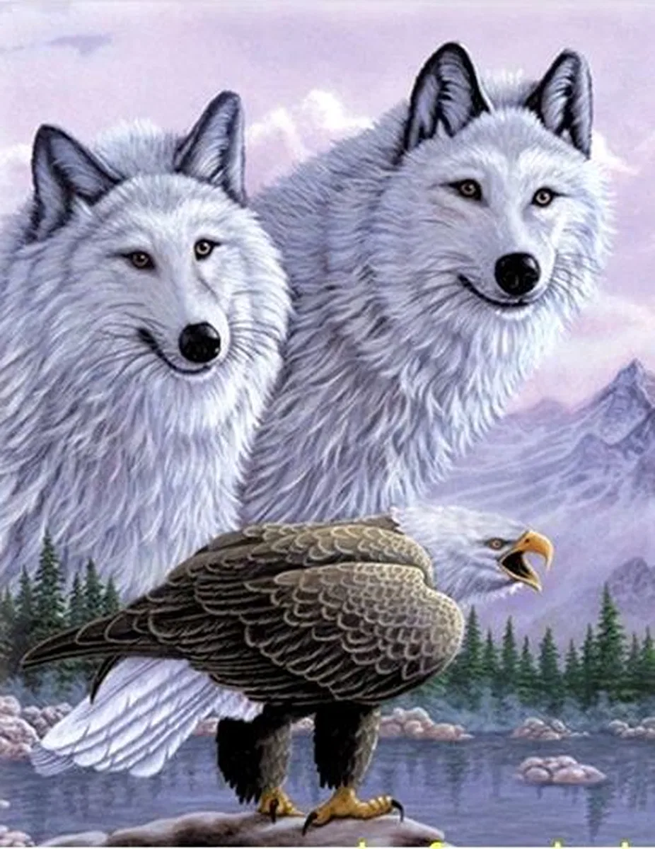 3 Boyutlu Resim Kartallı Kurt Resmi Tablosu 40x60 Cm