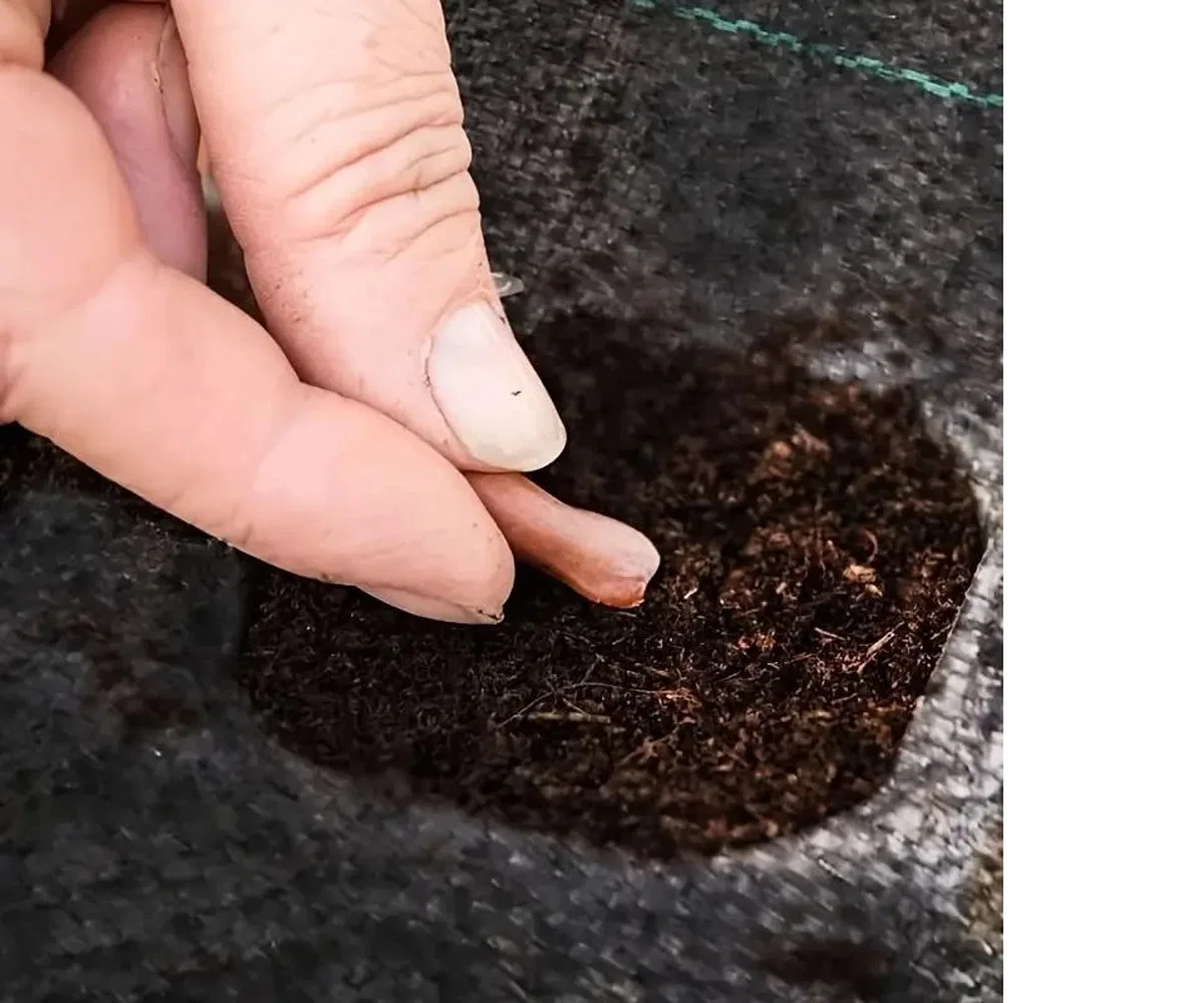 Yabani Ot Bariyer Matı görsel 2