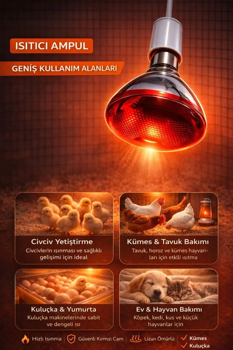 150w Isıtıcı Ampul Kırmızı Isı Lambası Civciv Kümes Kuluçka E27 Duy Isıtma Ampulü görsel 2