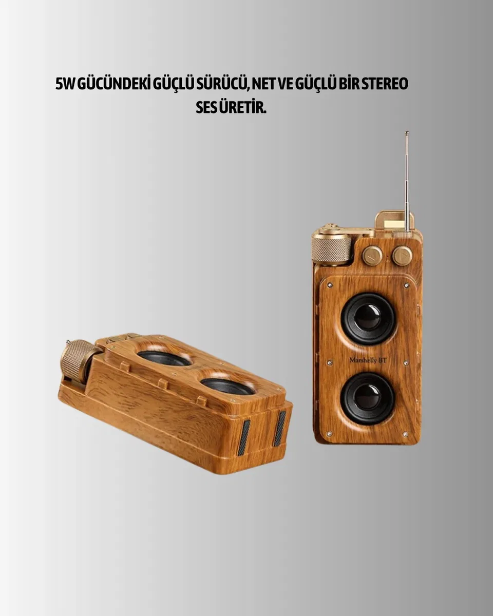 Klasik Görünümlü Bluetooth Hoparlör 360 Derece Stereo ve FM Radyo görsel 3