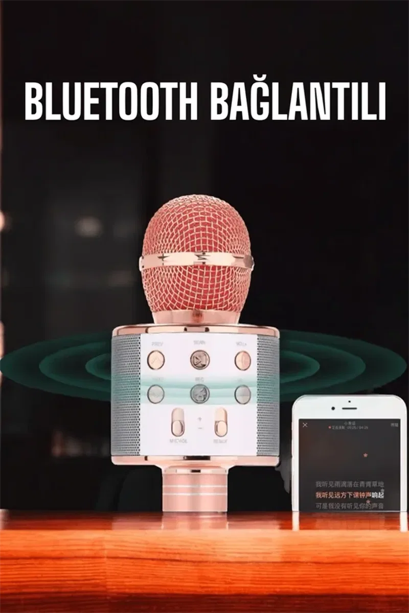 Kablosuz Bluetooth Karaoke Mikrofon USB ve AUX Girişli, Yüksek Ses Kalitesi görsel 5