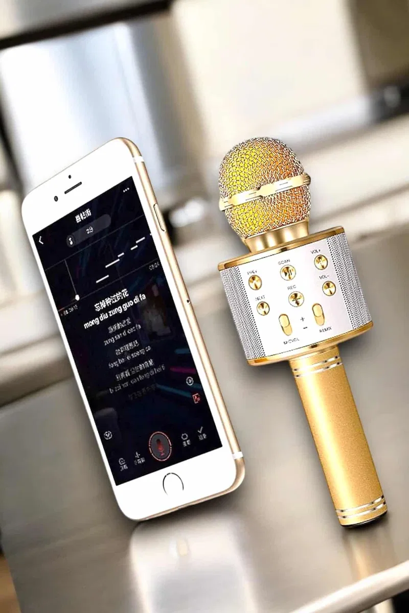 Şarjlı ve Uzun Pil Ömürlü Karaoke Mikrofon USB Bellek Destekli, Profesyonel Ses görsel 2