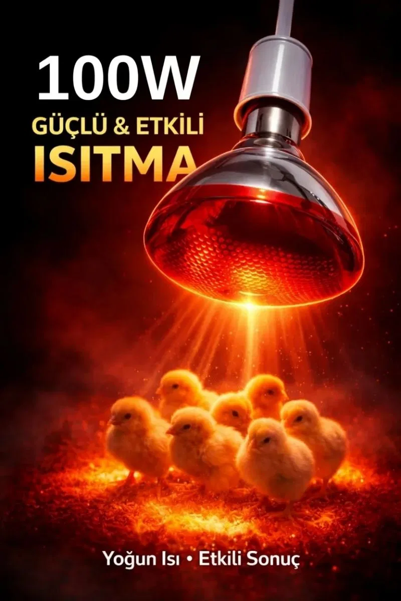 100w Isıtıcı Ampul Kırmızı Isı Lambası Civciv Kümes Kuluçka E27 Duy Isıtma Ampulü