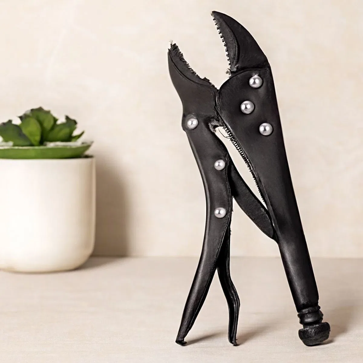 10 inç (250 mm) Kilitli Ayarlı Komple Metal Pense