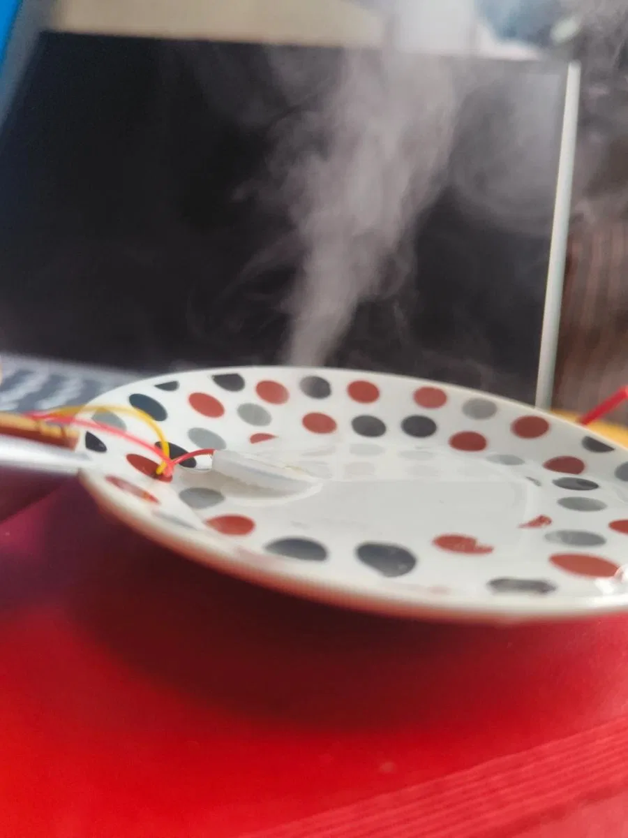 Hava Nemlendirici Buhar Makinesi Hobi Ürün Geliştirme görsel 2