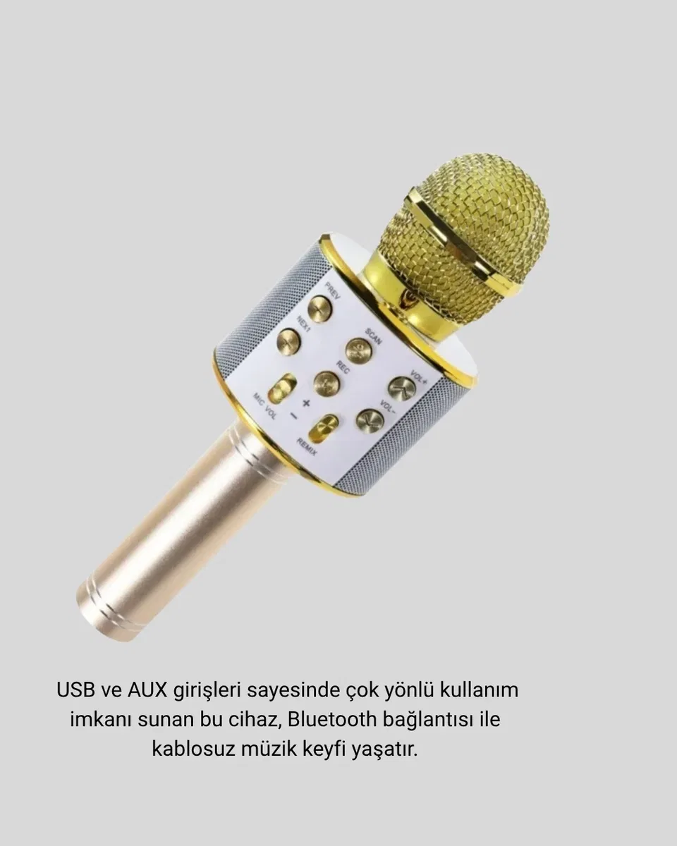 Karaoke Mikrofonu Bluetooth USB AUX Girişli Yankı Efektli görsel 3