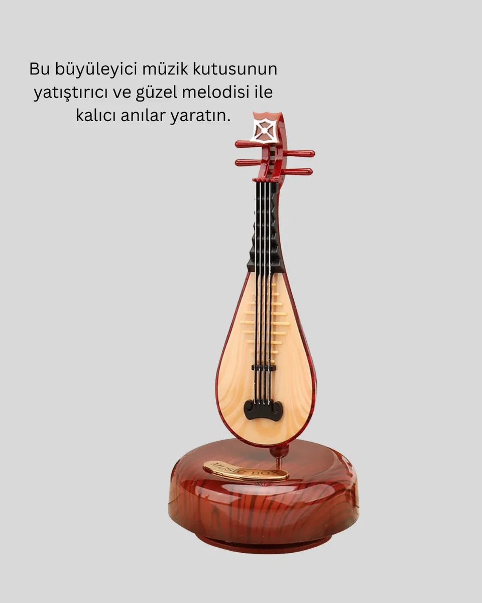 PİPA MÜZİK KUTUSU görsel 5