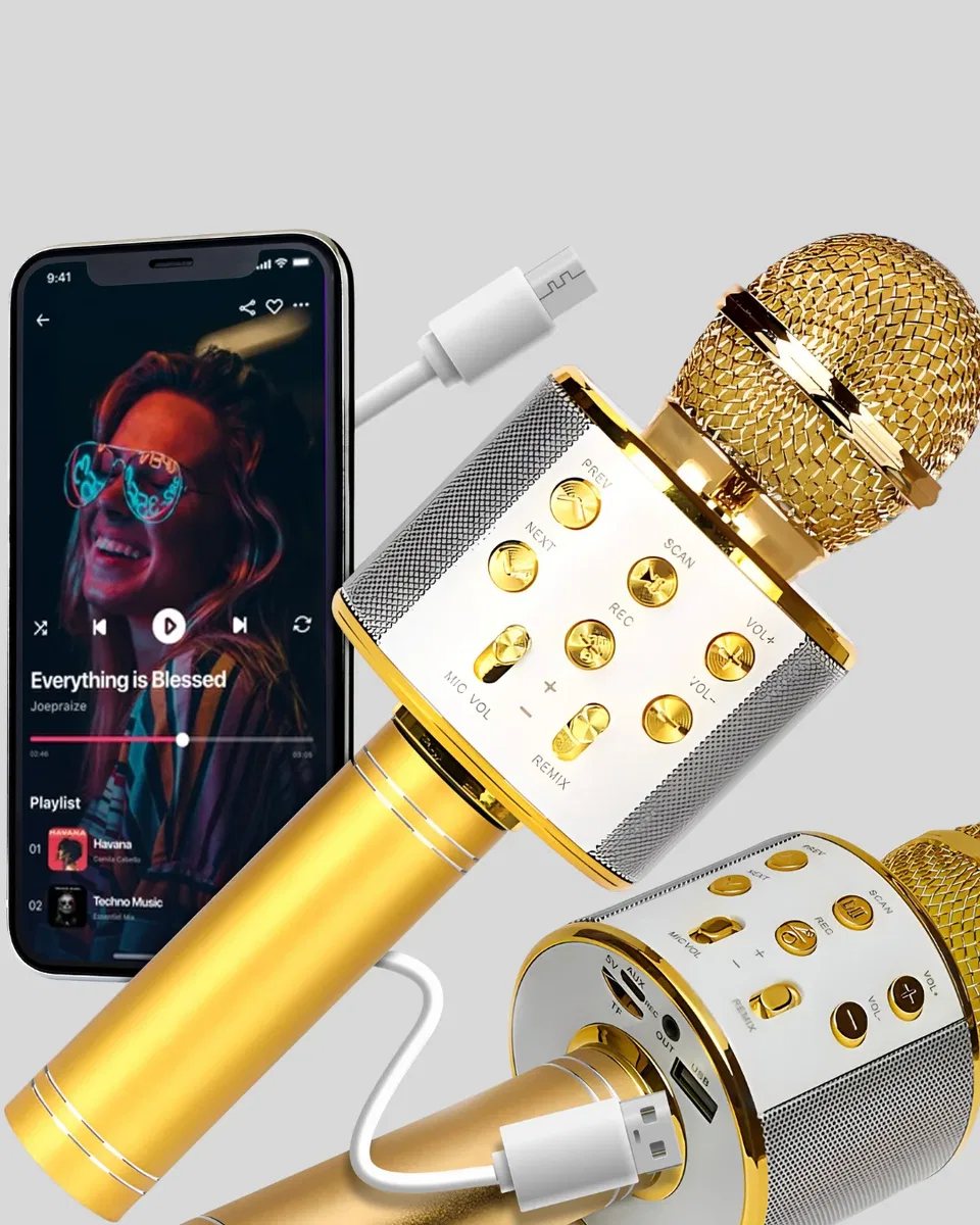 Karaoke Mikrofonu Bluetooth USB AUX Girişli Yankı Efektli görsel 4