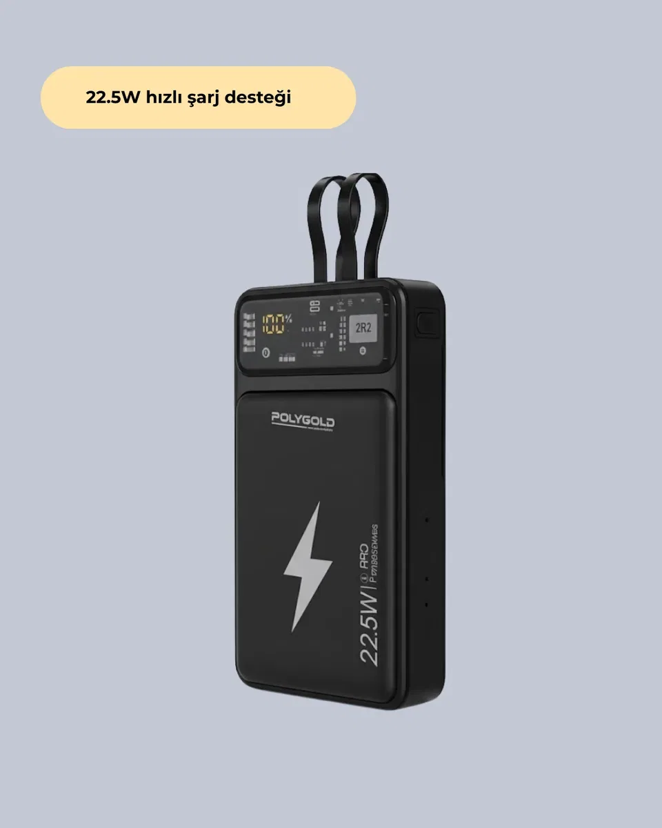 PGPW10 POWERBANK görsel 2