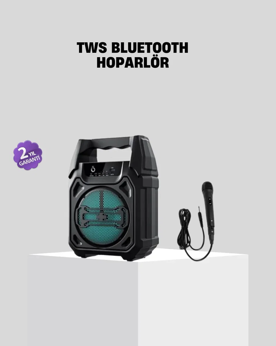 6. 5 İnç Bluetooth Hoparlör Mikrofonlu Taşınabilir Karaoke ve Parti Sistemi