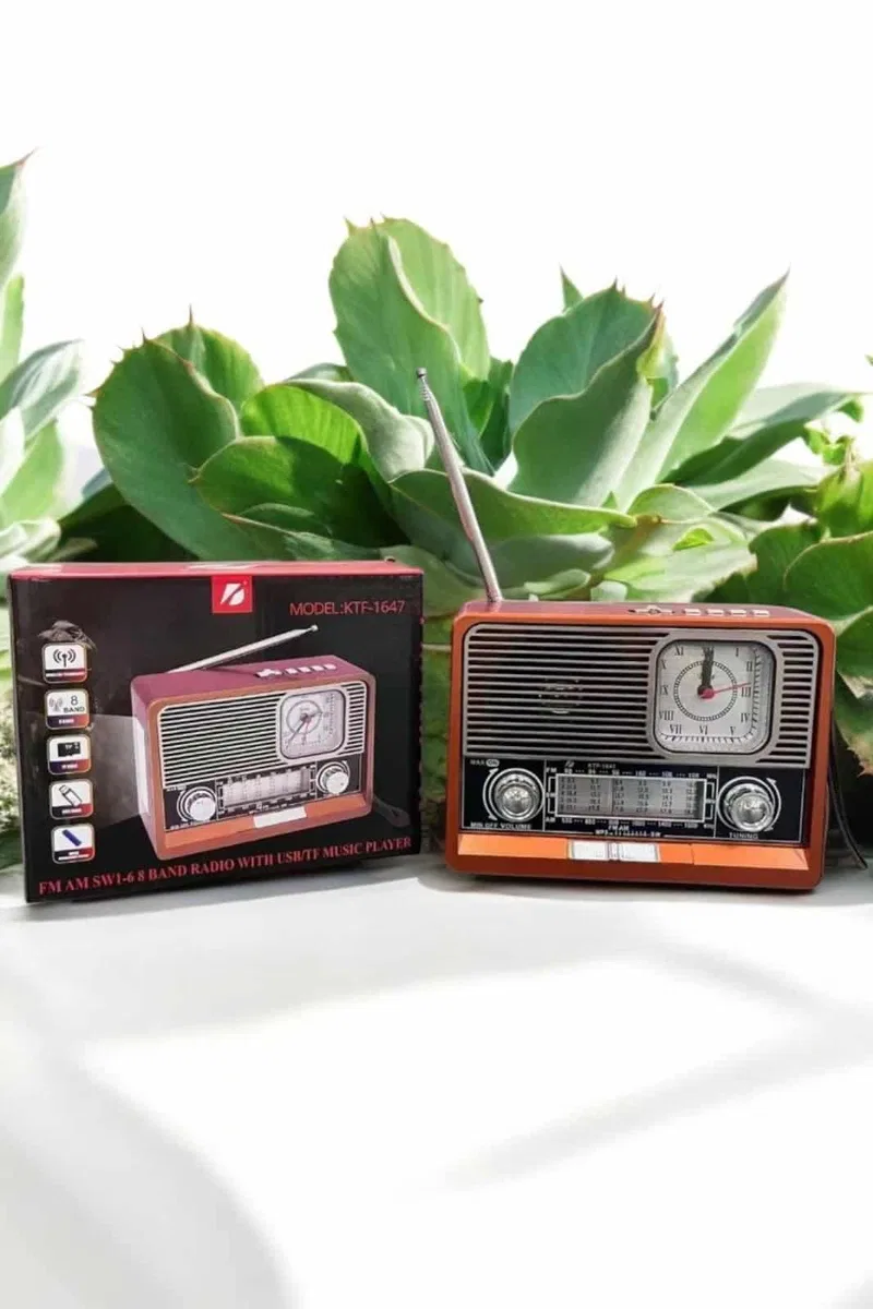 Nostaljik Görünümlü USB Girişli Bluetooth Bağlantılı Radyo görsel 3