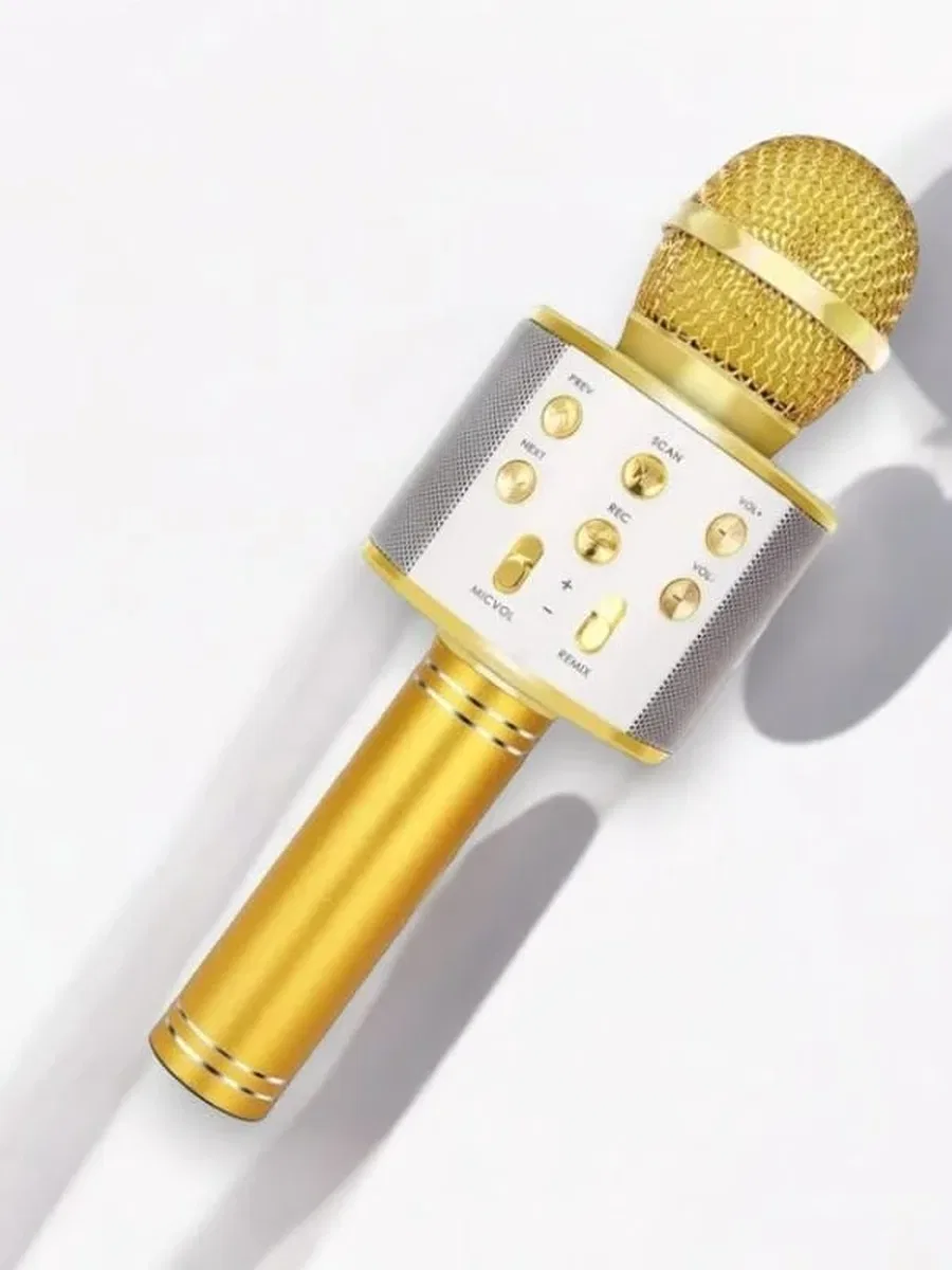 KAREOKE MIKROFON görsel 4