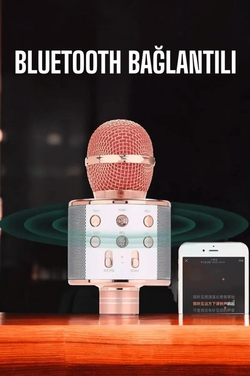 Kablosuz Bluetooth Karaoke Mikrofon Usb Ve Aux Girişli, Yüksek Ses Kalitesi görsel 5