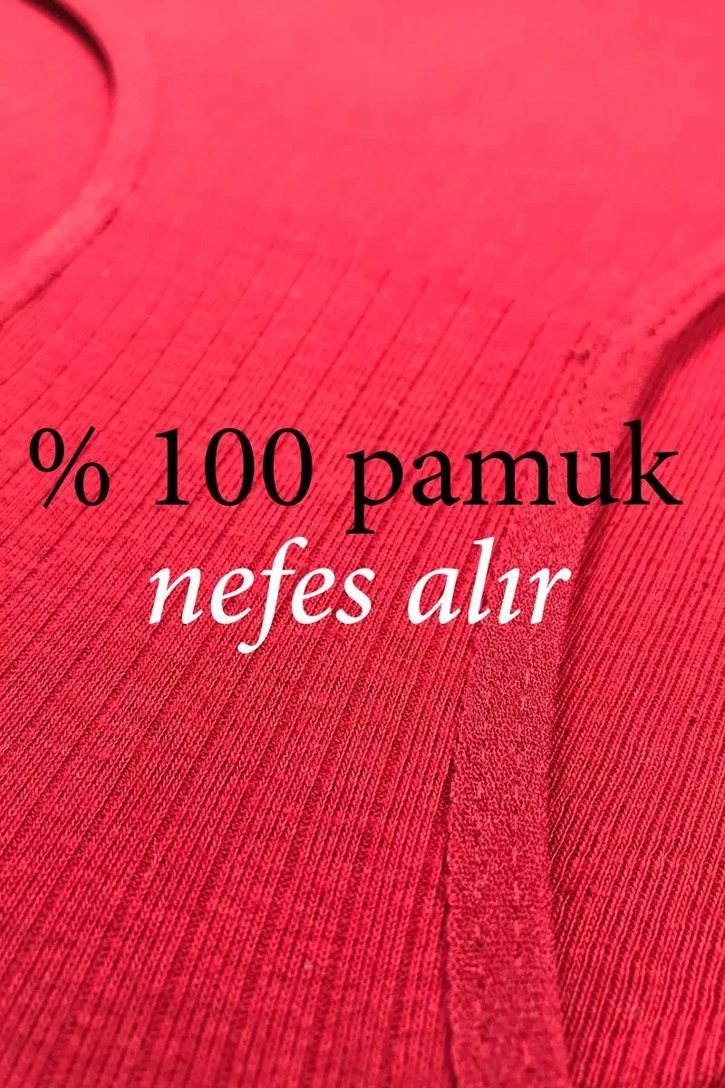 6 Adet Kadın Yüksek Bel Ribana Bato Külot S084 görsel 3
