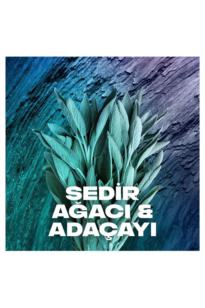 2 Adet Axe Erkek Sprey Deodorant Apollo 48 Saat Etkileyici Koku Vücut Spreyi 150 ml görsel 3