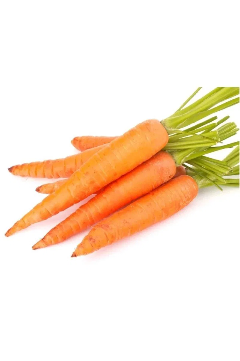 Sarı Havuç Tohumu 10 Gr görsel 2