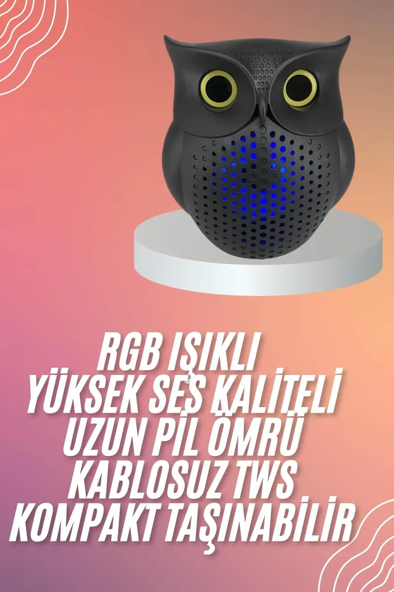 Müzik Çalar Bluetooth Hoparlör Speaker 5. 0 Kablosuz Baykuş Görünümlü görsel 2