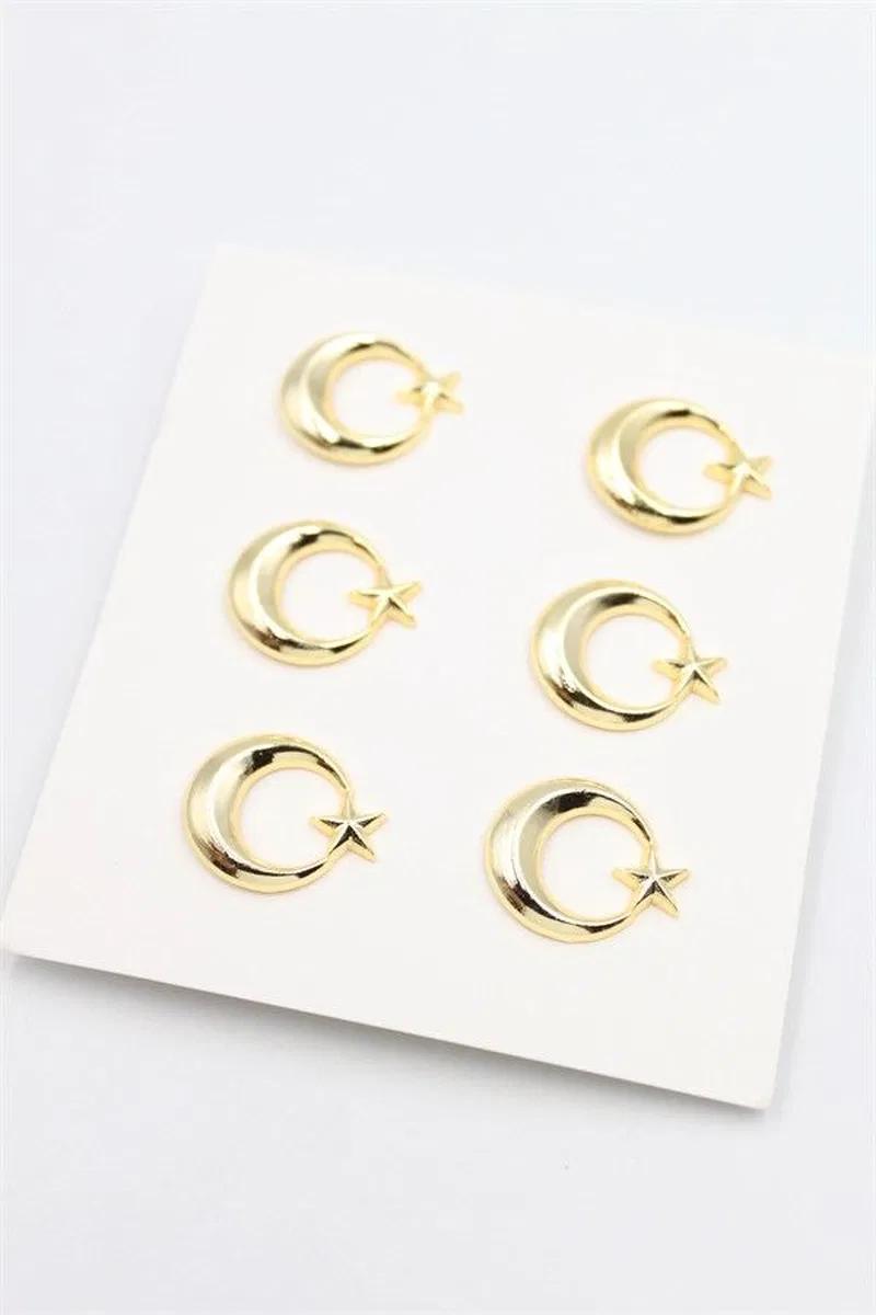 Ay Yıldızlı Rozet - Altın görsel 2