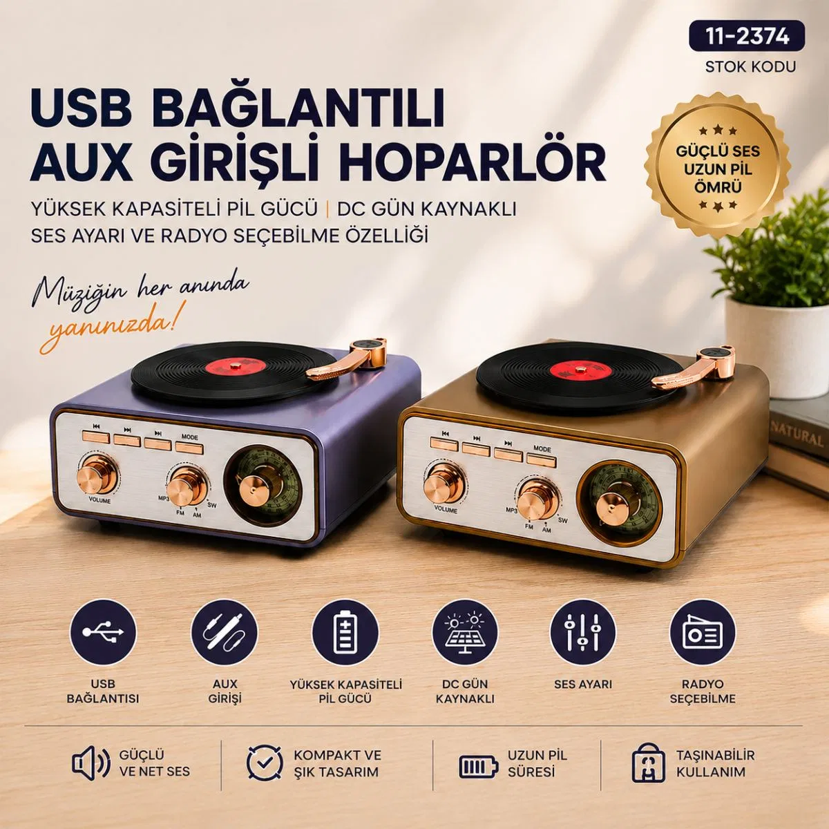 Bluetooth FM Radyo USB/MP3 Taşınabilir Hoparlör (İbreli) görsel 3