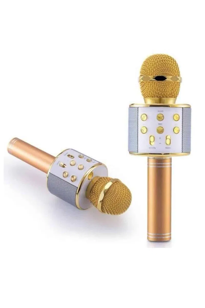 Karaoke Mikrofon Dahili Hoparlörlü Sd-usb-aux Girişli Bluetooth Hoparlör görsel 2