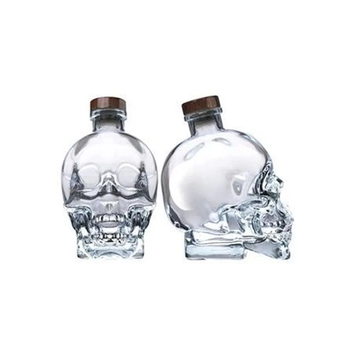 Kuru Kafa Şişe 550 Ml görsel 2
