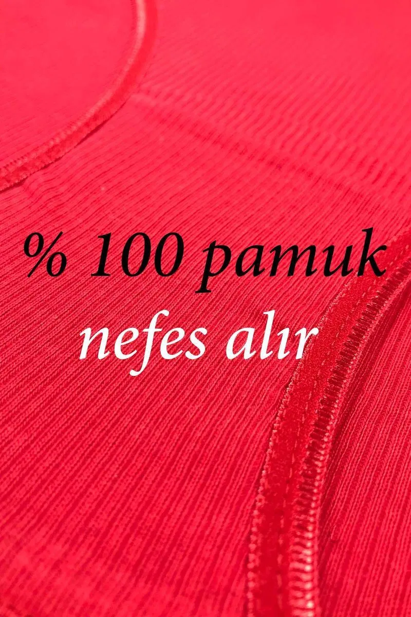 12 Adet Fitilli Pamuklu Kadın Kaşkorse Bikini Külot görsel 2